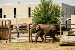 Tulsa Zoo Logo