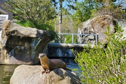 Buttonwood Park Zoo Logo