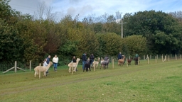 Woolley Animals Alpaca Walking & Farm Park Logo